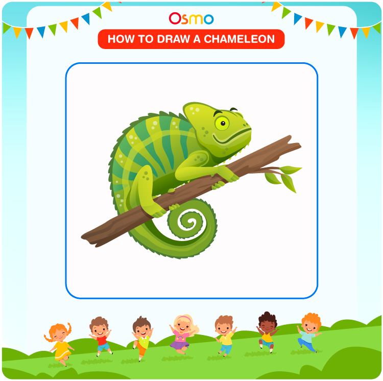 how to draw a chameleon - 7