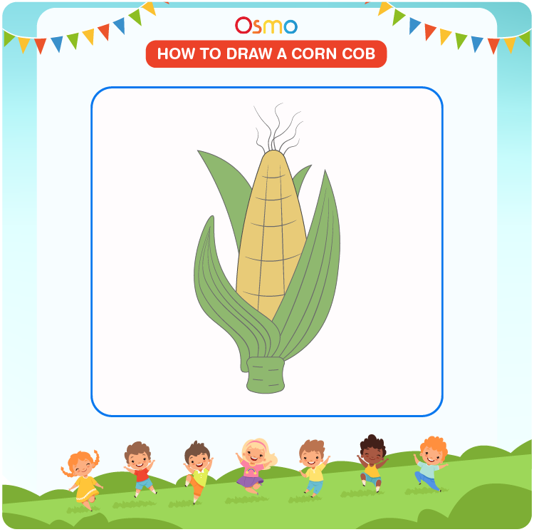 how to draw a corn cob - 7
