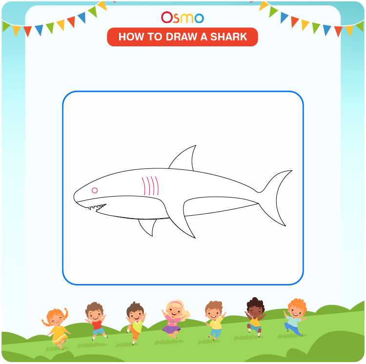 how to draw a shark - 7