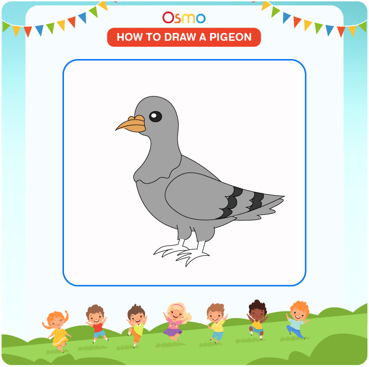 How to draw a pigeon step by step - Easy drawings | Easy drawings, Drawings,  Art drawings simple
