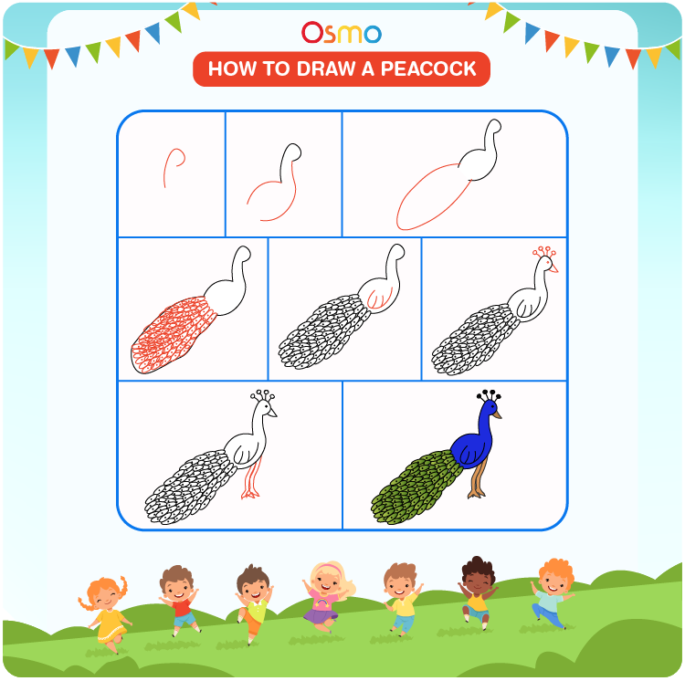 9 Easy Step to Draw a Peacock Drawing Quickly - Bird Drawing.-saigonsouth.com.vn