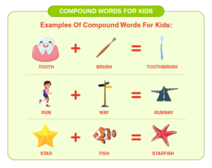 Compound Words For Kids | Interesting 200+ Compound Words For Kids