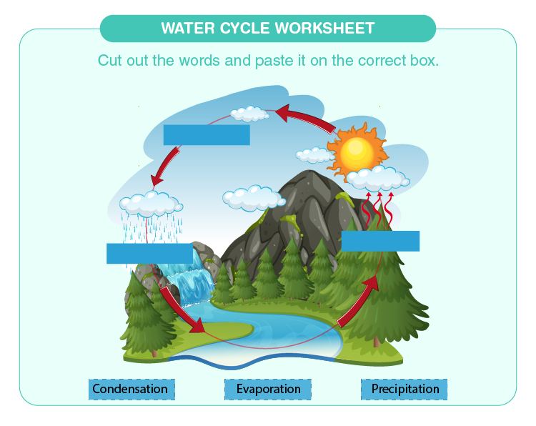 Cut and paste the stages of water cycle: Water cycle worksheets for kids