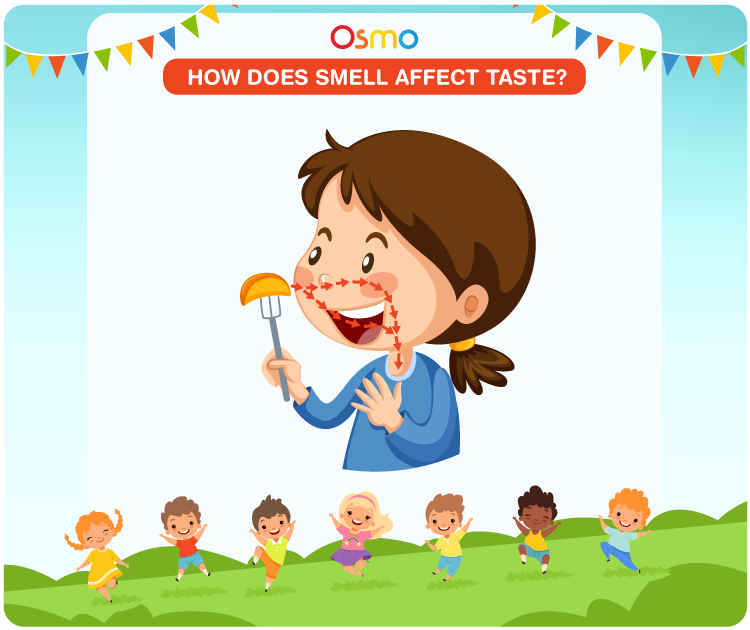 How Does Smell Affect Taste: DIY Science Project Ideas for Kids