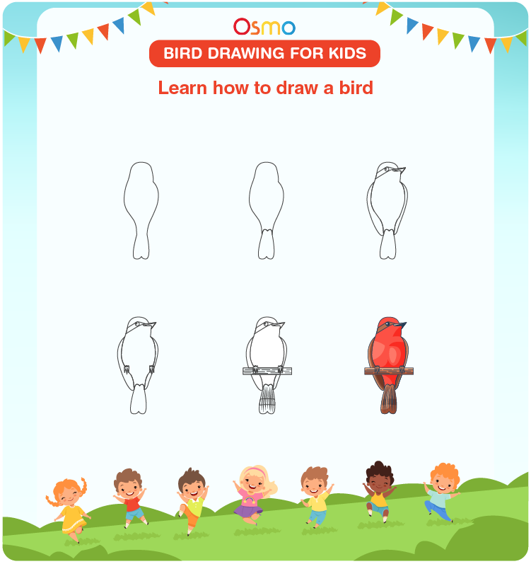 Bird Drawing for Kids