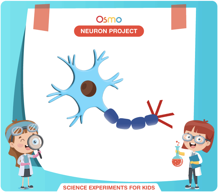 Neuron Project 