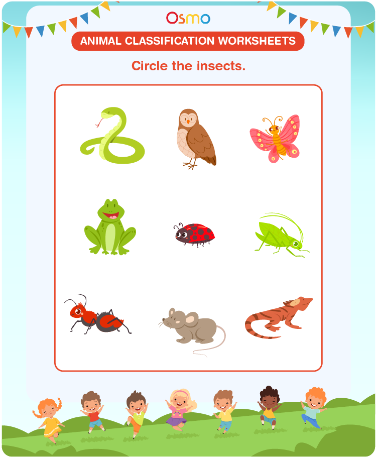 Animal Classification Worksheets | Download Free Printables