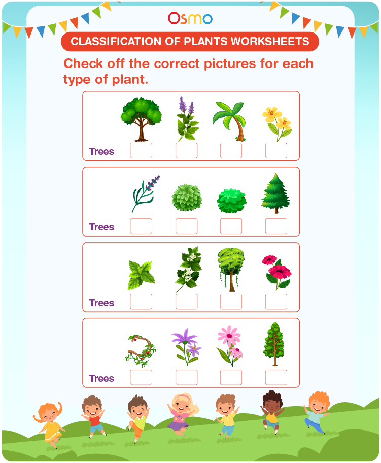 Classification of Plants Worksheets