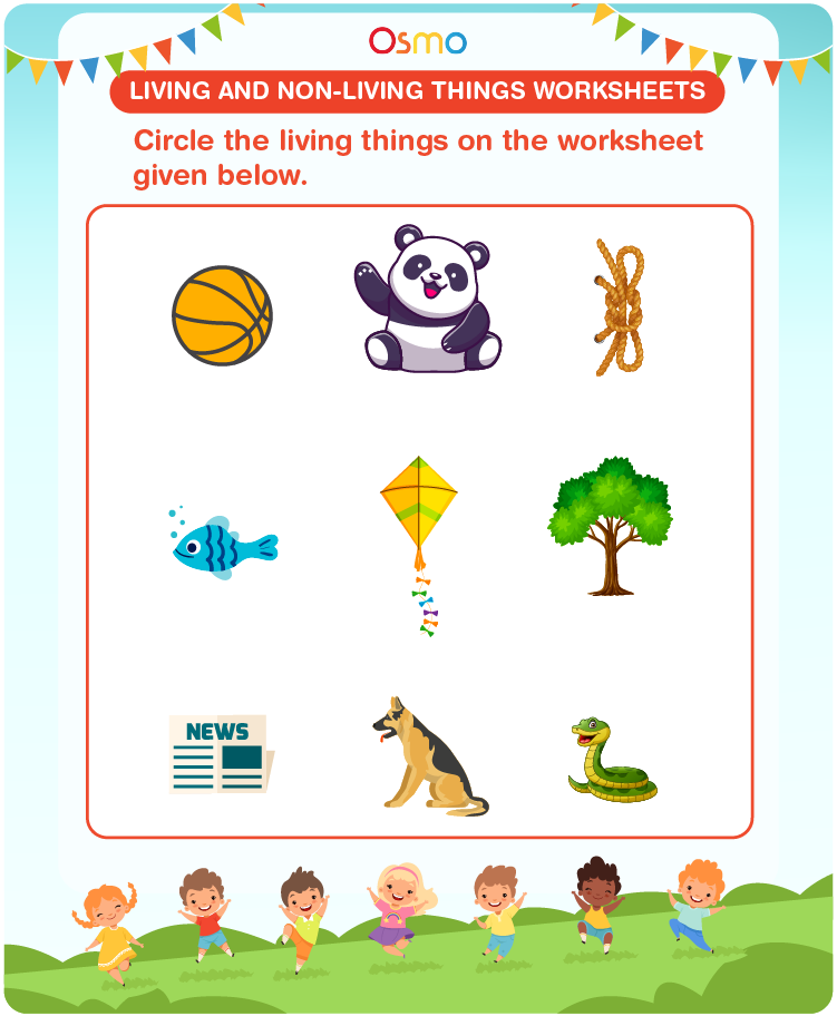 Living and Non-living Things Worksheets