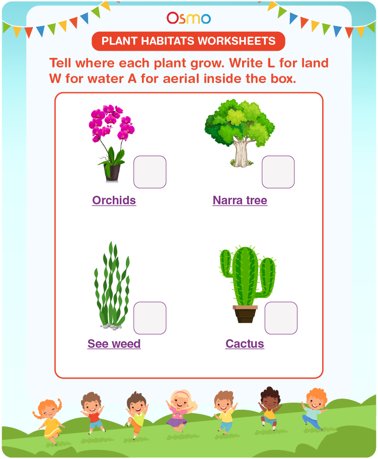 Plant Habitats Worksheets | Download Free Printables