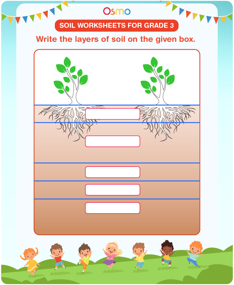 Soil Worksheets for Grade 3