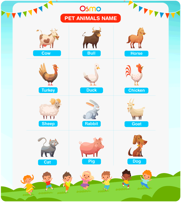 Pet Animals Name | List Of All The Names Of Pet Animals